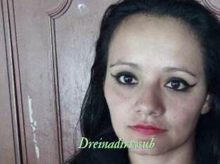 Dreinadirtysub
