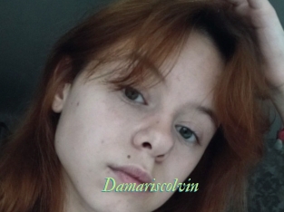 Damariscolvin