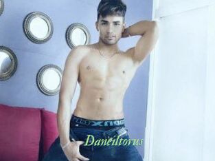 Daneil_torus