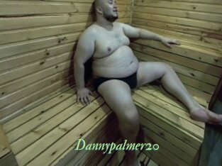 Dannypalmer20