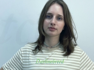 Darlinebreed