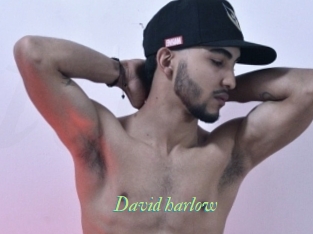 david_harlow Tel Coquin