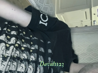 David1123