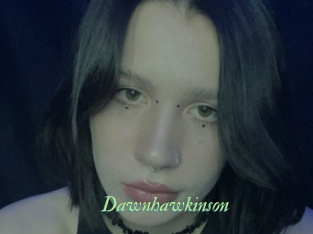 Dawnhawkinson