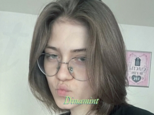 Dinamint
