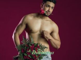 Dominicross