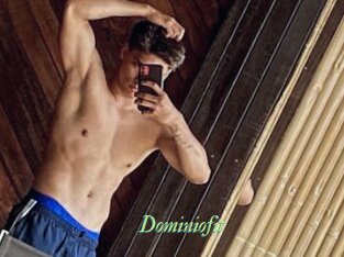 Dominiofit
