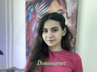 Dominoarnet