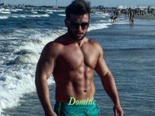 Domluc