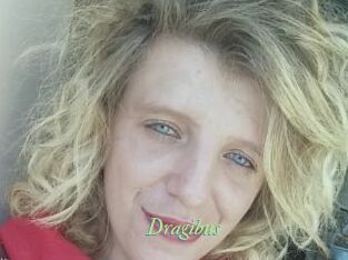 Dragibus