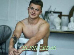 ELFIN_CEDAR