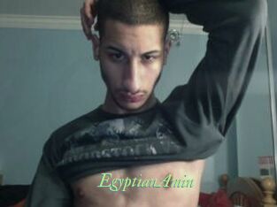 EgyptianAmin