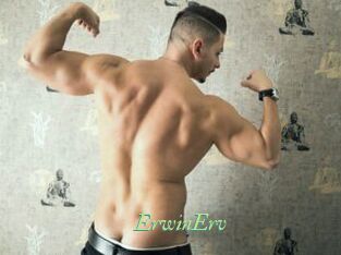 ErwinErv