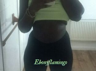 Ebony_flamingo
