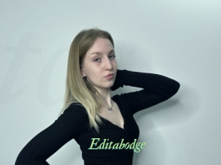 Editabodge