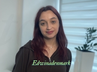 edwinadenmark Tel Coquin