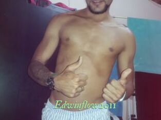 Edwinflow2011