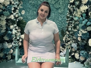 Elektraamotaro