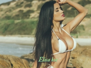 Elisa_koe