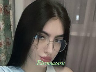 Elsennacaris