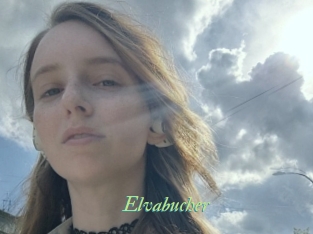 Elvabucher