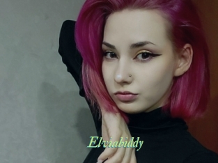 Elviabiddy