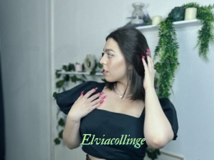 Elviacollinge