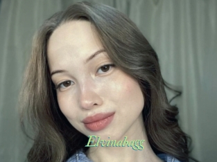 Elvinabagg