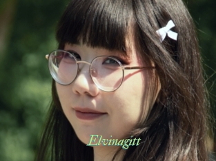 Elvinagitt
