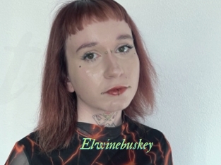 Elwinebuskey