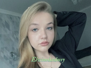 Elwinedanbury