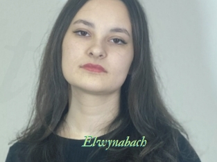 Elwynabach
