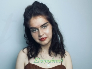 Elwynabench