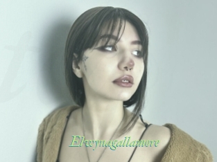 Elwynagallamore