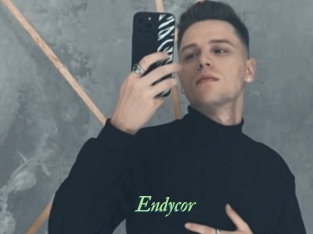Endycor