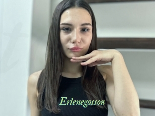 Erlenegosson