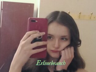 Erlinebranch