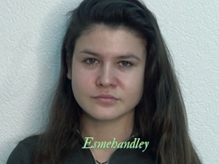 Esmehandley