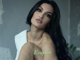 Evapure