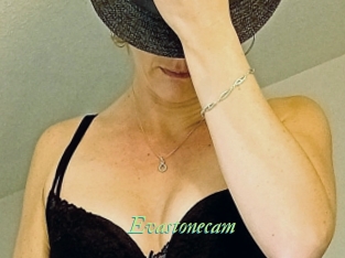 Evastonecam
