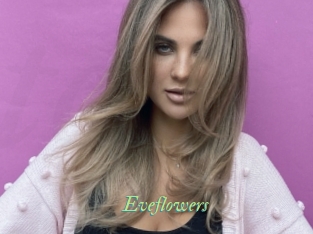 Eveflowers