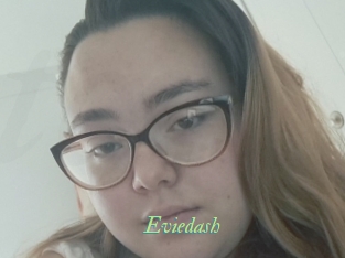 Eviedash