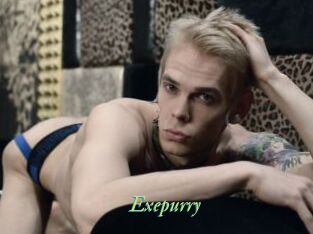 Exepurry