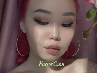 FactorCam