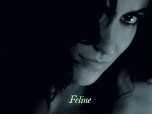 Feline Tel Coquin