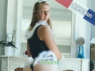 Feline18