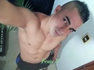 Fenix_S