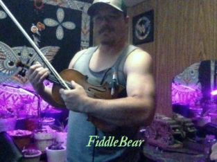FiddleBear
