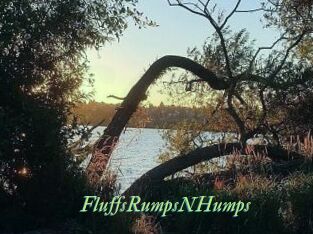 FluffsRumpsNHumps