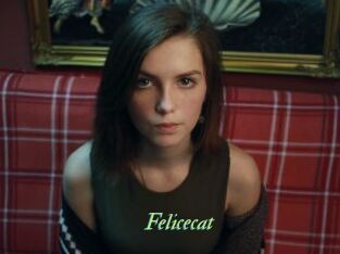 Felicecat